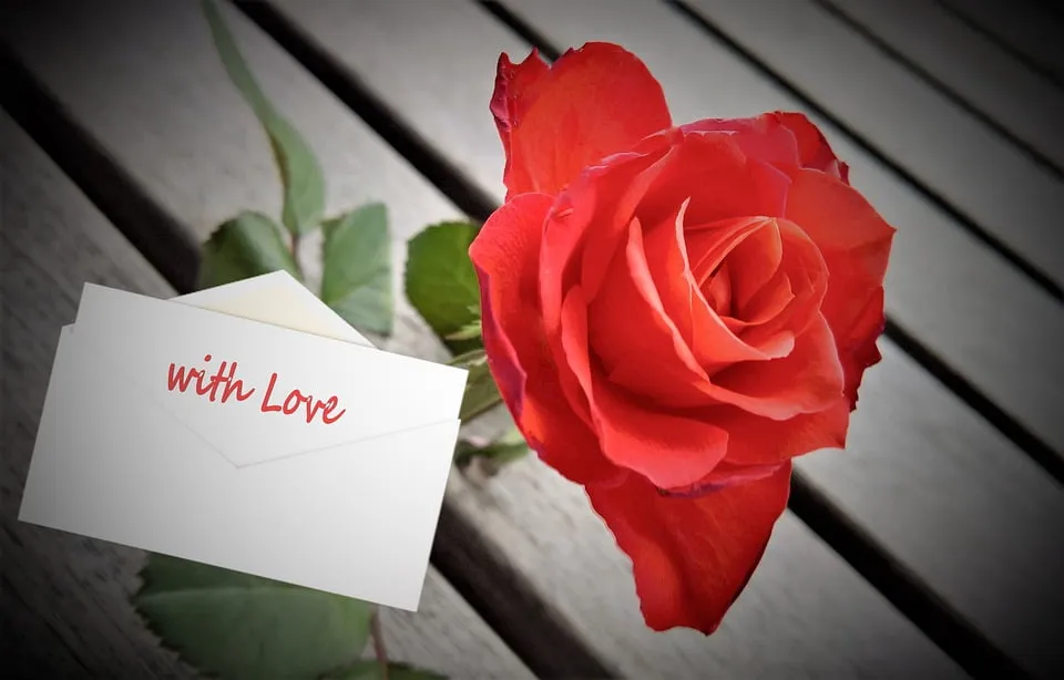 Cheap Valentine’s day gift