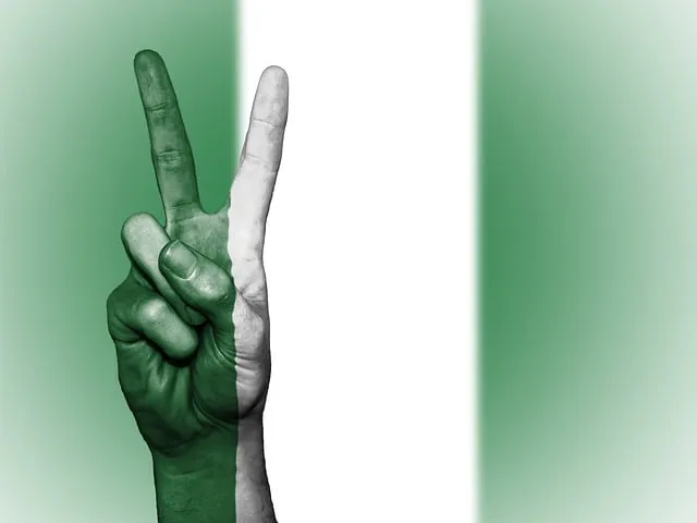 Nigerian President Muhammadu Buhari is doing well, but Nigerians will not accept 8 Nigerian President