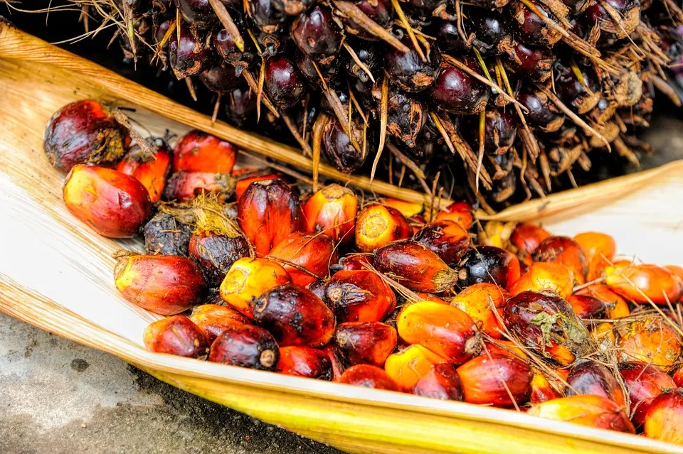 Ogbono soup benefits, ingredients and step-by-step recipe 12 Palm Oil seed