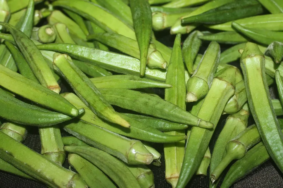 Ogbono soup benefits, ingredients and step-by-step recipe 14 Ogbono soup is thicker with Okra