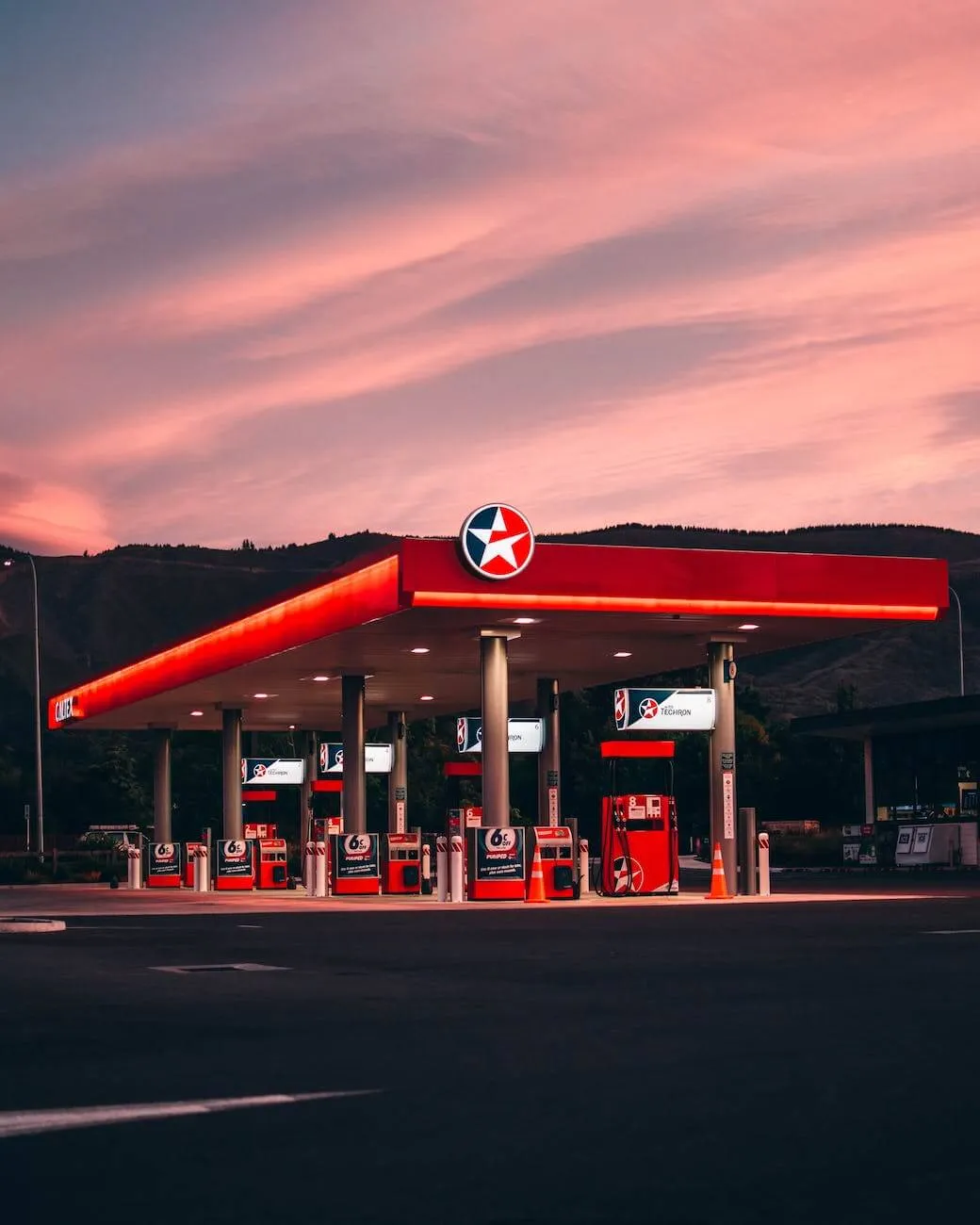 What Is Fuel Subsidy?