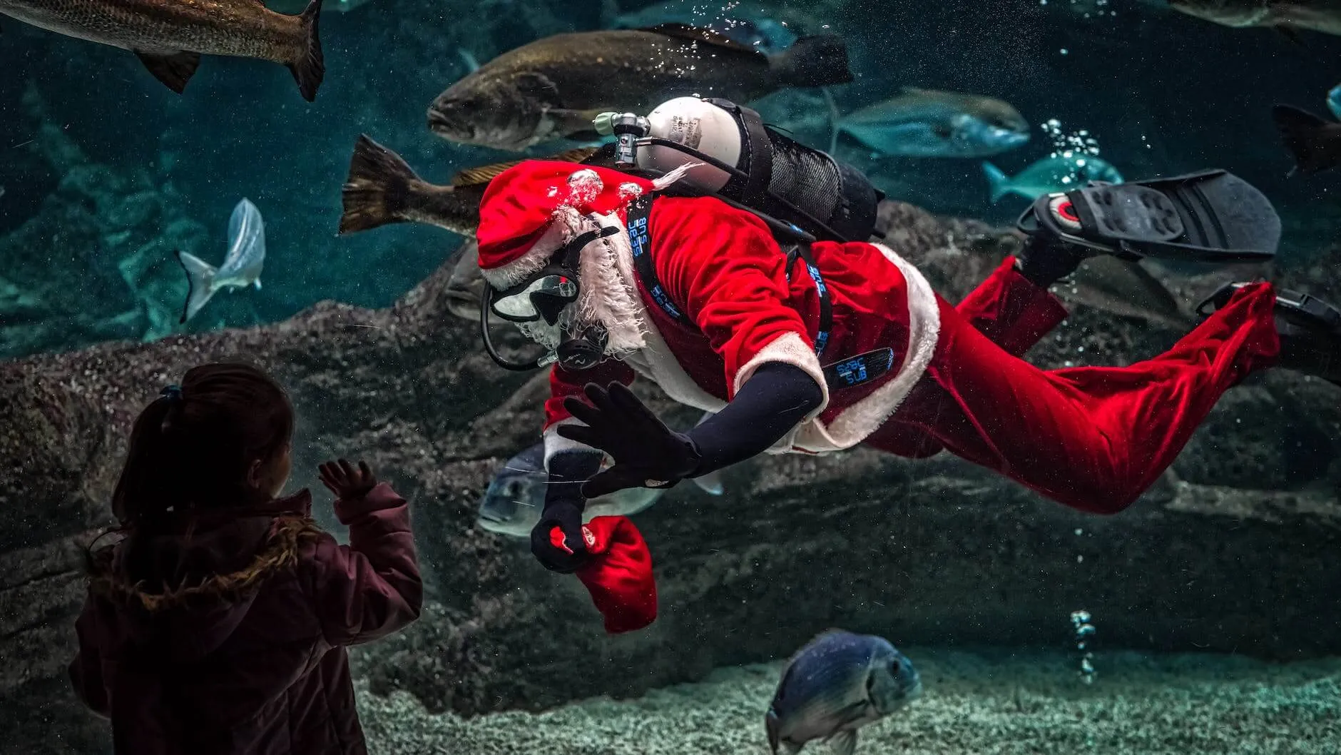 The Legend of St. Nicholas: Unraveling the Mystery of Santa Claus 9 man in Santa Claus (St Nicholas) costume with diving gear inside aquarium