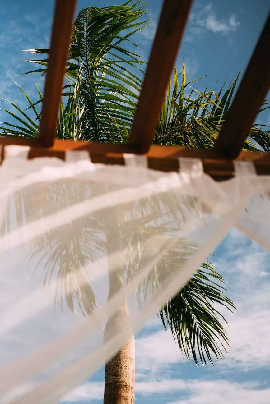 photo of green palm tree