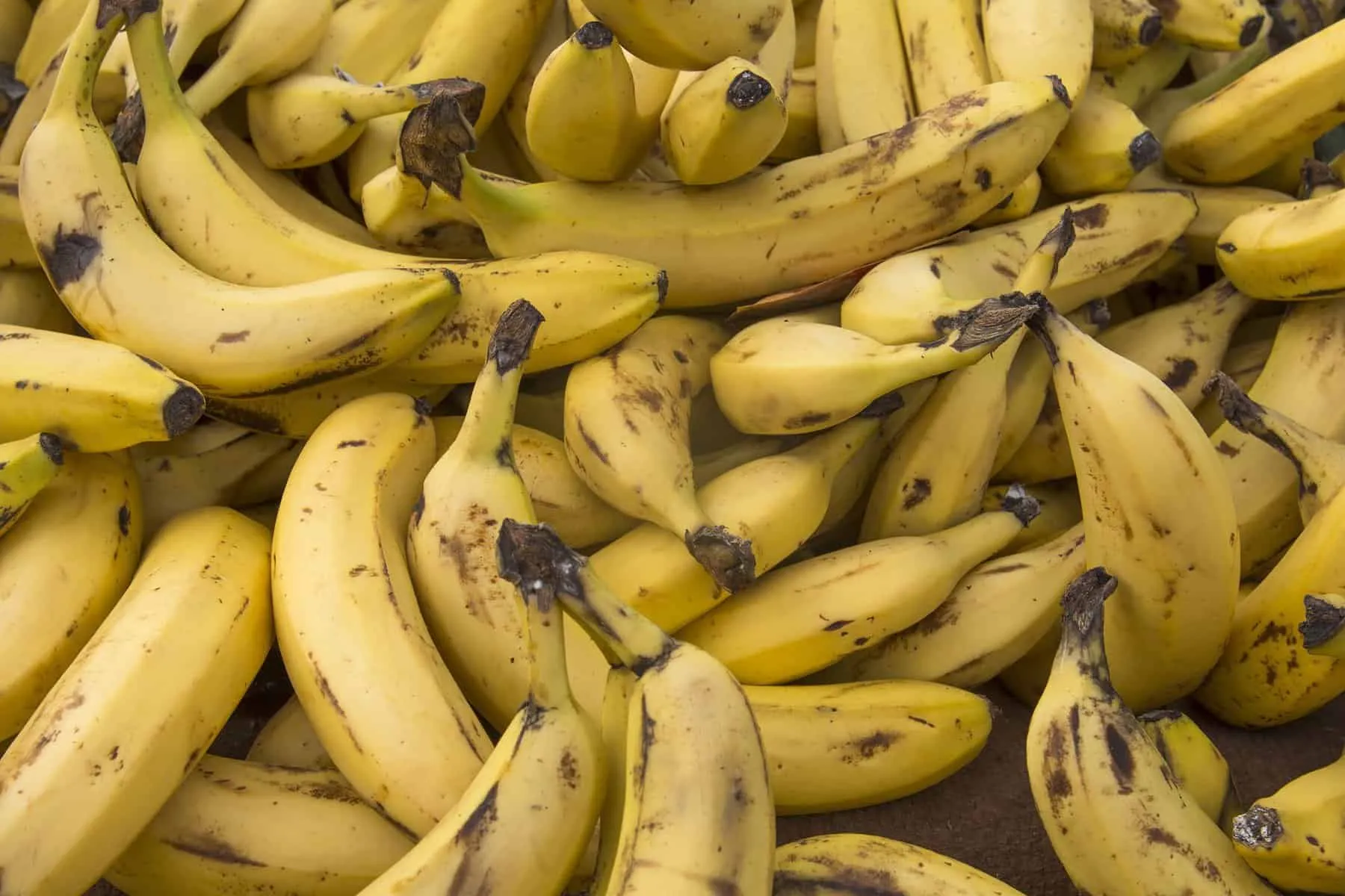 How to Make Plantain Flour 8 How to make Plantain