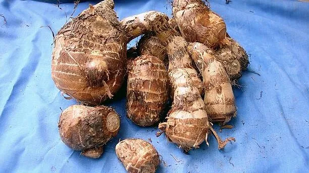10 Most popular Nigerian soups 9 Tubers of Coco Tam
